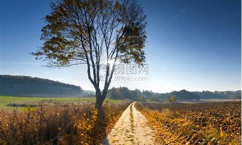 秋天天气多变吗_秋天多晴朗天气对吗