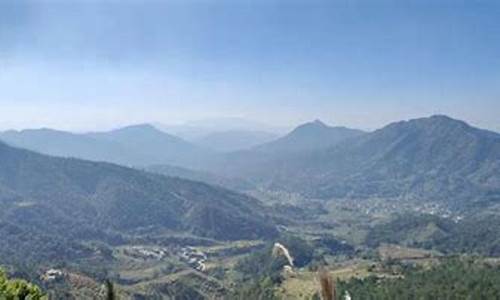 信宜茶山天气预报,茶山 天气