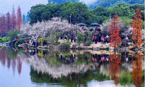 广东广州春季天气_广州春天的天气