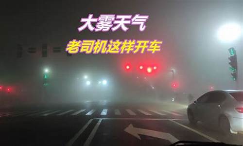 科二雨雾天_科目二遇到大雾天气