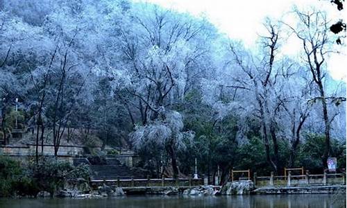 贵州的冬天怎么样_贵州的冬天是什么天气