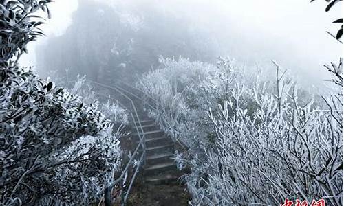 近期广东连山天气预报_近期广东连山天气