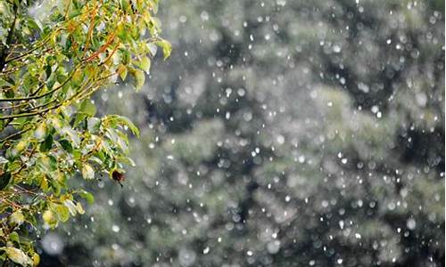 雨夹雪第二天马路会滑么_雨夹雪过后天气不好了