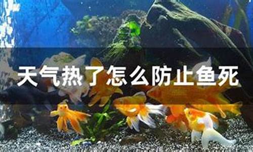 天气冷会下鱼吗吗_天气冷了有鱼钓吗