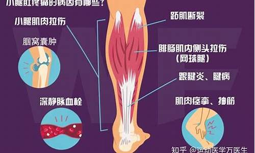 天气越热小腿越痛怎么办_天气越热小腿越痛