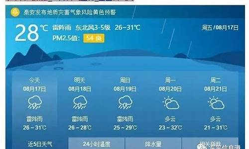 东平天气24小时_东平天气一周