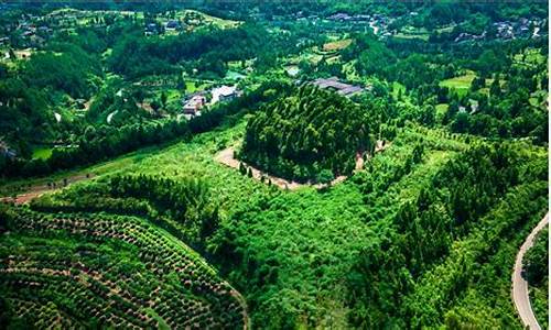 南充市仪陇县天气.预报_四川省仪陇县天气预报