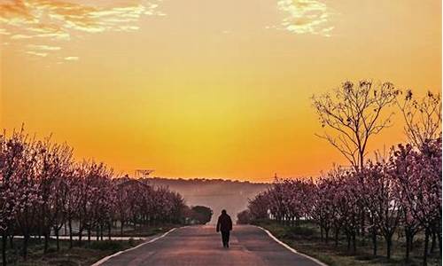 里泽运动足球俱乐部_天气好却在赶路文案