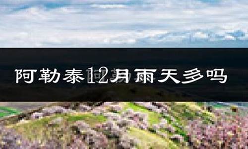 哈巴河县天气预报15天查询结果_哈巴河县天气预报15天