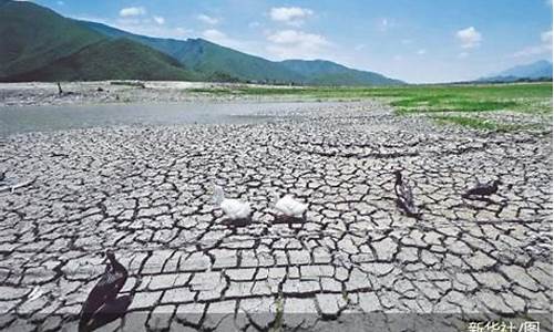 墨西哥极端干旱天气_墨西哥极端干旱天气图