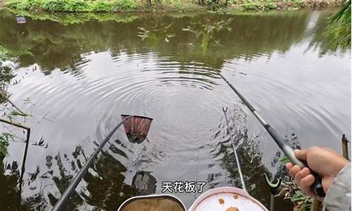 现在季节适合钓什么鱼_现在天气哪个季节好钓鱼