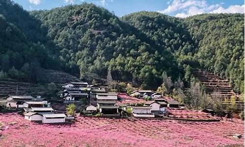 桃花岛天气预报15天_桃花岛天气预报15天查询结果是什么