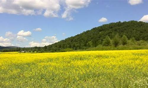 阿荣旗天气预报15天准确_阿荣旗天气预报15天气